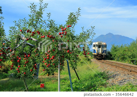Gono line and apple field (kiha 40) 35646642