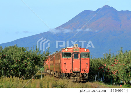 Gonosen line and apple field (40 yellow amber) 35646644