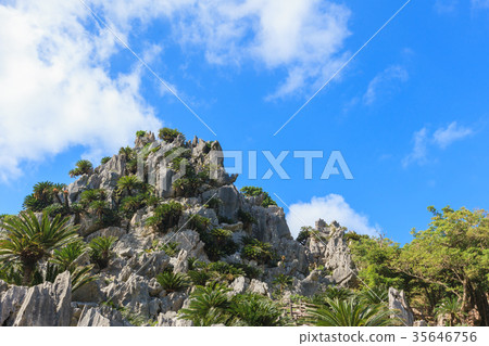 Oishi Hayashiyama Gokuroi 35646756