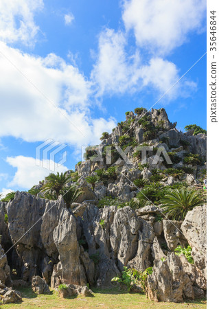 Oishi Hayashiyama Gokuroi Oishi Hayashiyama Gokuroi 35646844