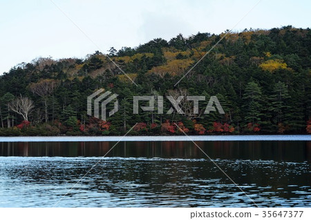 Shirakoma no pond (Shirako no ike) Yachiho plateau Shirakoma no pond (Shirako no ike) Yachiho plateau 35647377