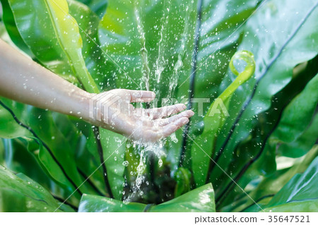 Water pouring in hand on nature background 35647521