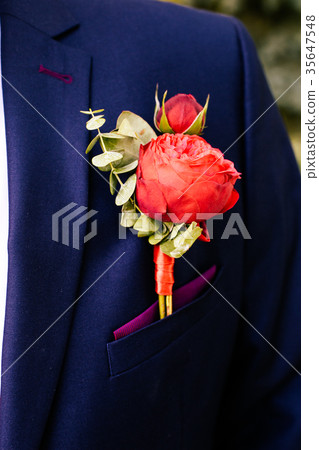 Boutonniere on the lapel of the groom Boutonniere on the lapel of the groom 35647548