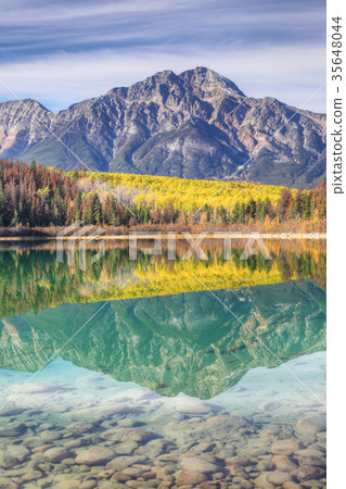 Vertical of aspens reflected in Rocky Mountains Vertical of aspens reflected in Rocky Mountains 35648044