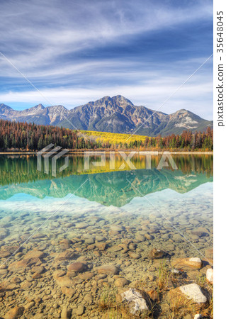 Vertical fall aspens reflected in Rocky Mountains Vertical fall aspens reflected in Rocky Mountains 35648045