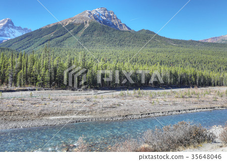 Rocky Mountains with Athabasca River in foreground Rocky Mountains with Athabasca River in foreground 35648046