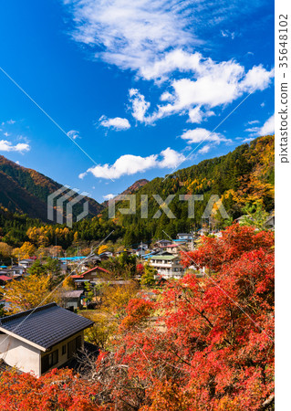 《Yamanashi Prefecture》Tamba mountain village in autumn colors 35648102