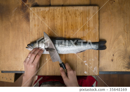 鱸魚 35648169