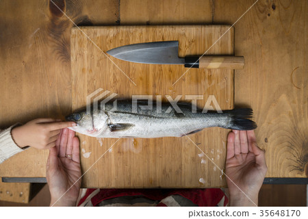 鱸魚 35648170
