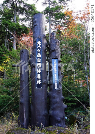 Shirakoma沒有池塘招牌（Shirako no ike）Yachiho Kogen 35648171