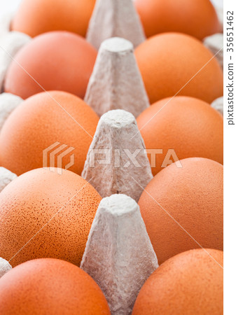 Raw farm fresh eggs in white paper tray Raw farm fresh eggs in white paper tray 35651462