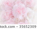 Pink Carnation Flowers Bouquet 35652309