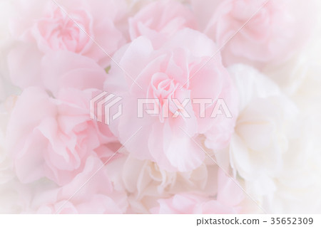 Pink Carnation Flowers Bouquet Pink Carnation Flowers Bouquet 35652309