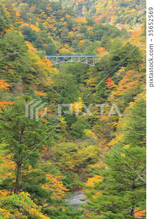 Shibataki Shibata Gorge Hiryu Bridge 35652569