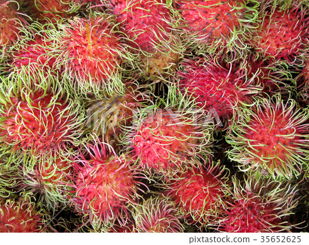 Rambutan, Nephelium Lappaceum, the lychee like Rambutan, Nephelium Lappaceum, the lychee like 35652625