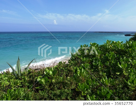 約龍島 約龍島 35652770