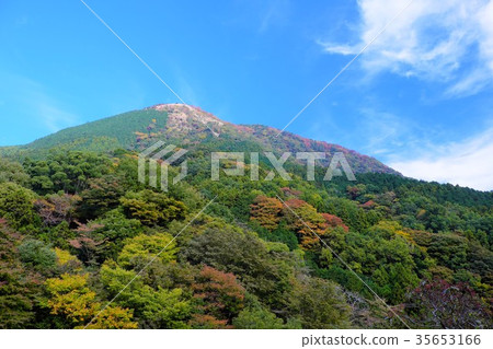 Yakuradake開始變色 35653166