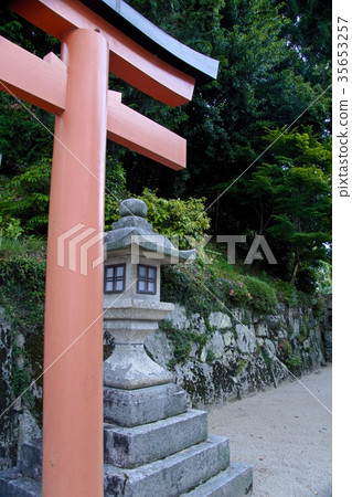 白井神社 35653257