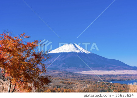 秋葉和富士山的全景立場 35653624