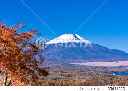 Autumn leaves and Mt. Fuji of the panorama stand Autumn leaves and Mt. Fuji of the panorama stand 35653625