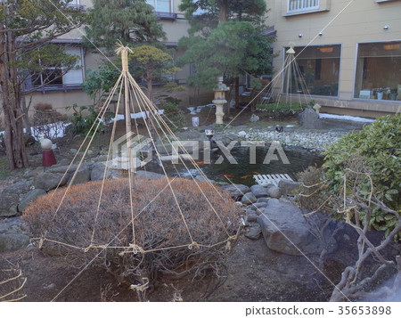 Courtyard _ Ichinomatsu 35653898
