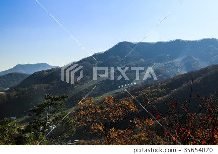 Hwadam Forest Hwadam Forest 35654070