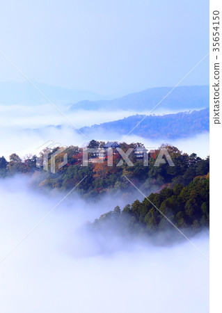 天堂城堡7024 35654150