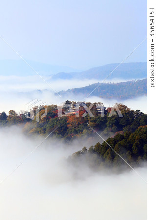 天堂城堡7025 35654151