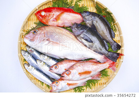 什錦魚成分 什錦魚成分 35654272