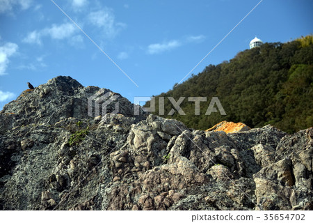 Muroto Cape lighthouse and wild bird thrush Muroto Cape lighthouse and wild bird thrush 35654702