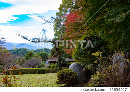 Chichibu冥想公園秋葉 35654927