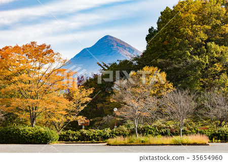Autumn leaves of Chichibu muse park 35654960