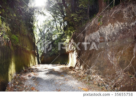 Mobara-shi, Chiba power spot Mobara-shi, Chiba power spot 35655758