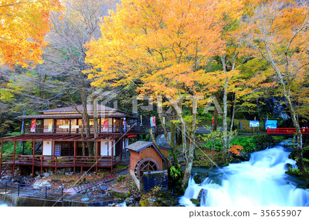 岩手縣岩手町柳山洞 岩手縣岩手町柳山洞 35655907