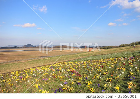 Winter park and runway Winter park and runway 35656001