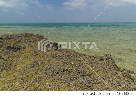 在Kuroshima燈塔附近的海岸 35656062