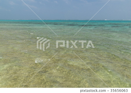 Coast near Kuroshima lighthouse 35656063