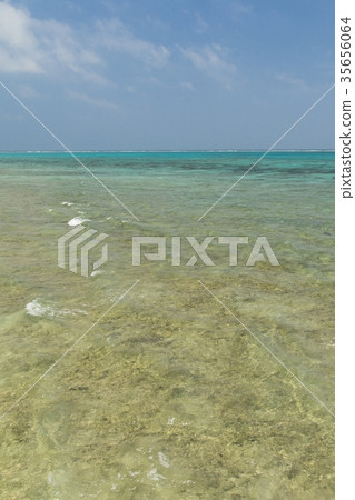 Coast near Kuroshima lighthouse 35656064