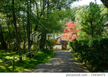 Autumn fall temple temple grounds 35656475