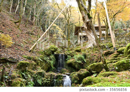 Kochitani Amida寺 Kochitani Amida寺 35656856