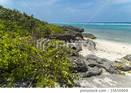 Scenery of Kuroshima (Taketomi-cho, Okinawa Prefecture) Scenery of Kuroshima (Taketomi-cho, Okinawa Prefecture) 35656909