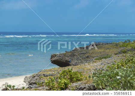 Scenery of Kuroshima (Taketomi-cho, Okinawa Prefecture) Scenery of Kuroshima (Taketomi-cho, Okinawa Prefecture) 35656911