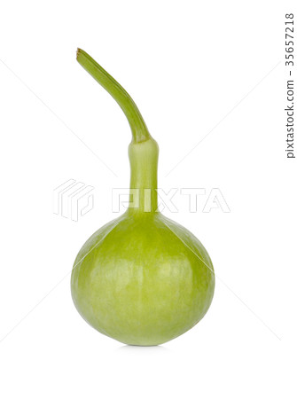 Calabash, Bottle Gourd on white background Calabash, Bottle Gourd on white background 35657218
