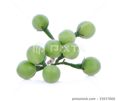eggplant on white background eggplant on white background 35657660