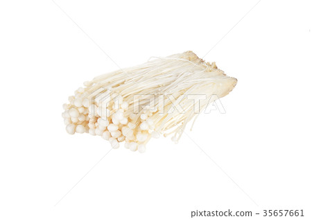 Enoki mushroom, Golden needle mushroom isolated  35657661