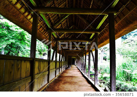 大宇寺 大宇寺 35658071