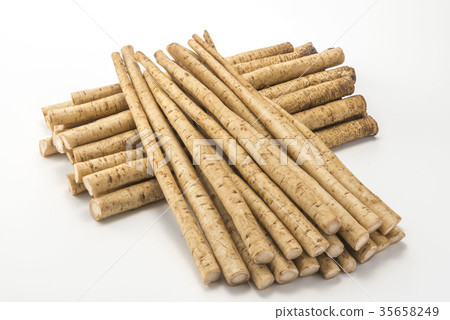 新鮮的栗色 35658249