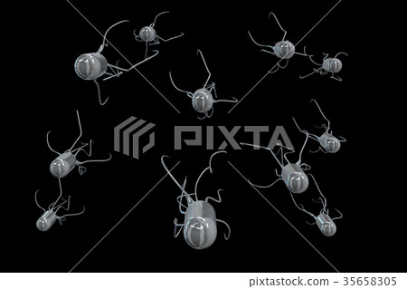 Salmonella bacteria Salmonella bacteria 35658305
