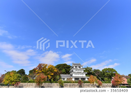 [Aichi] Autumn leaves and Asahi Castle in Owariasahi 35658409