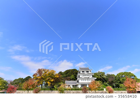 [Aichi] Autumn leaves and Asahi Castle in Owariasahi 35658410